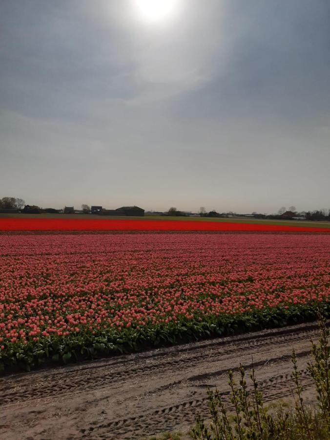 Вилла Groot Familiehuis Voor 6 Personen In Landelijke, Rustige Omgeving Breezand Экстерьер фото