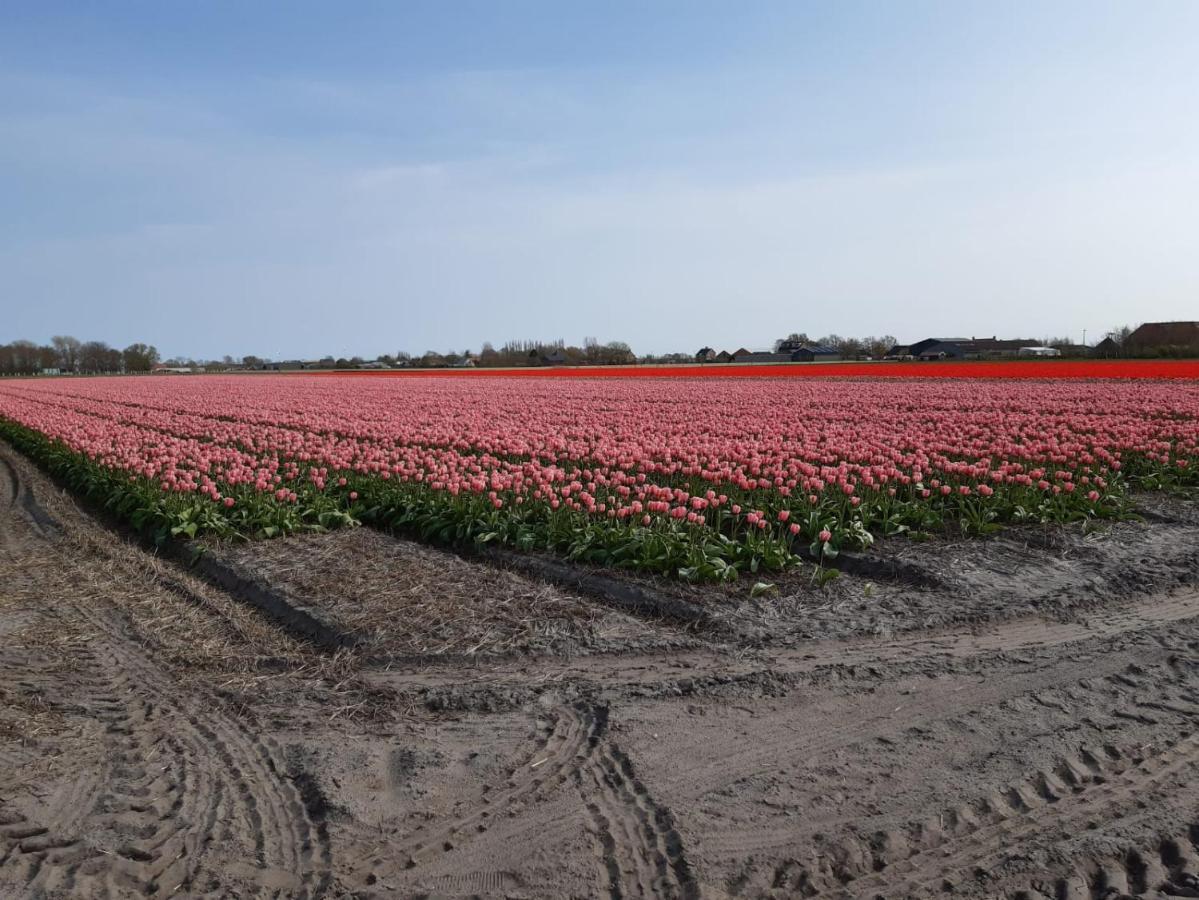 Вилла Groot Familiehuis Voor 6 Personen In Landelijke, Rustige Omgeving Breezand Экстерьер фото